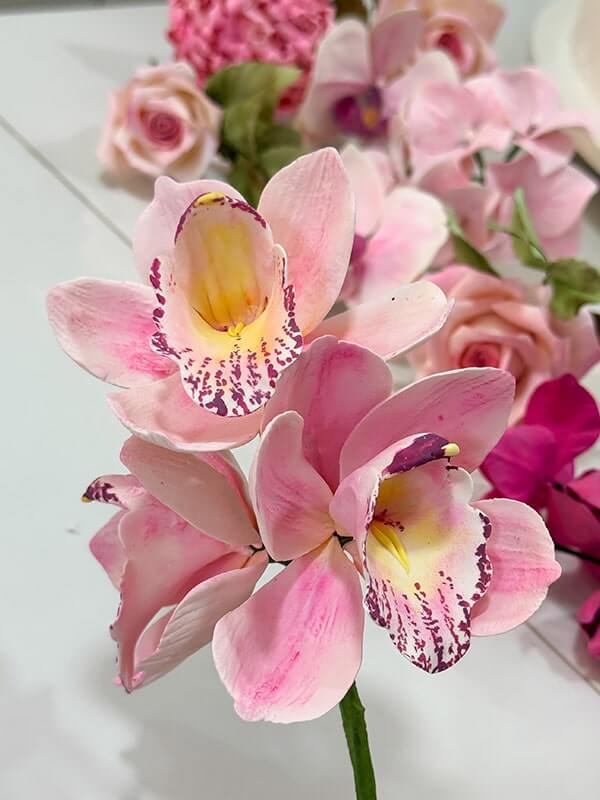 flores-6-min-1.jpg