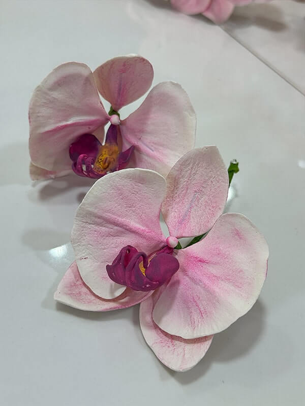 flores-7-min-1.jpg